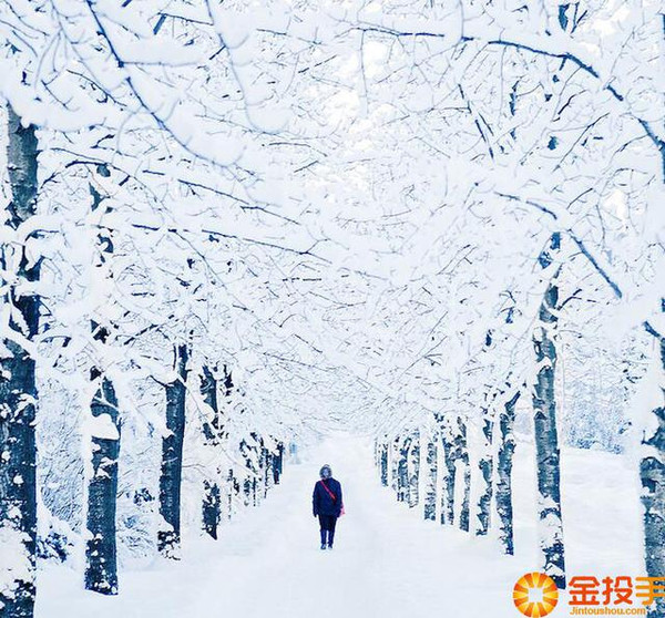 北京大雪之后,看全球最美丽的60张雪景的照片!