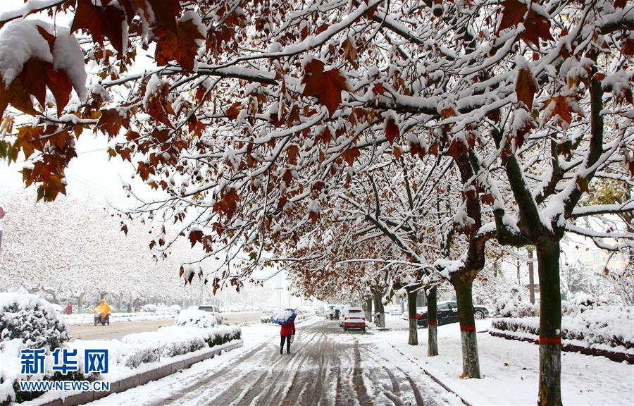 黄淮雨雪天气持续(组图)