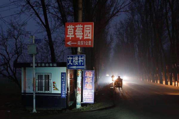 2015年11月30日，河南省上蔡县文楼村村口。 本文图片均为 澎湃新闻记者 许海峰 图