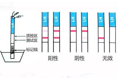 验孕棒藏玄机 有时候你可能会被误导的细节