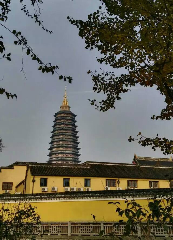 它就住在紅梅公園的隔壁,據說,蘇軾一生來過17次常州,有一年在運河