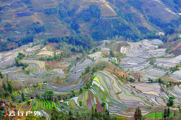 大地的畫卷—哈尼族元陽梯田(旅遊攝影攻略)