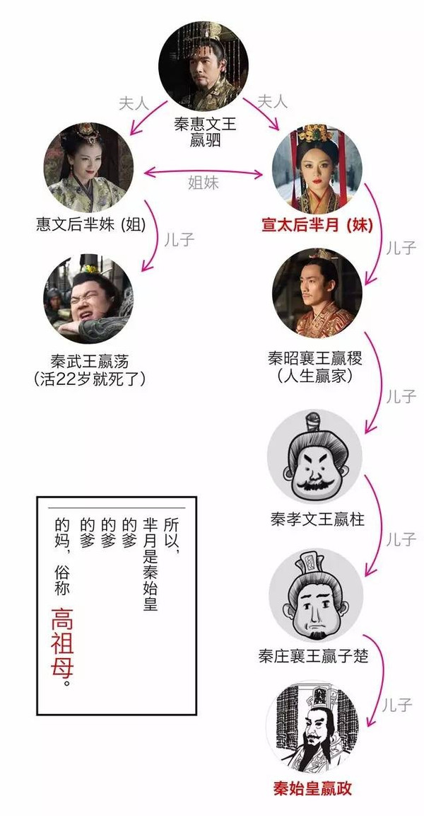 嬴政关系谱图片