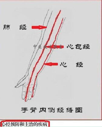 突然心梗或心脏不适就拍打胳膊弯处立竿见影