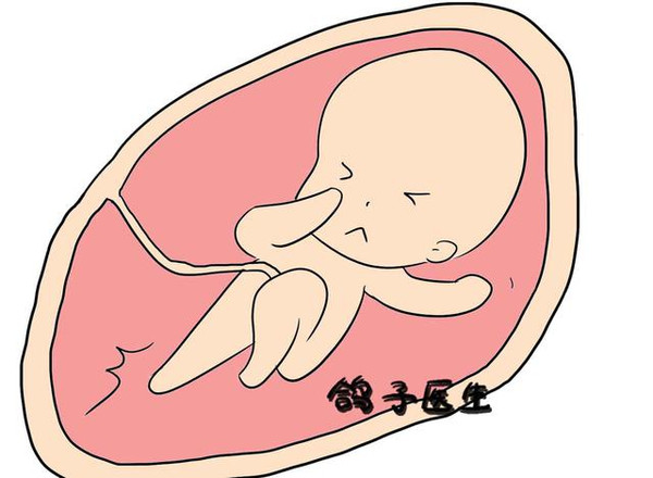 原来宝宝在肚子里的胎动是这样的,萌化了!