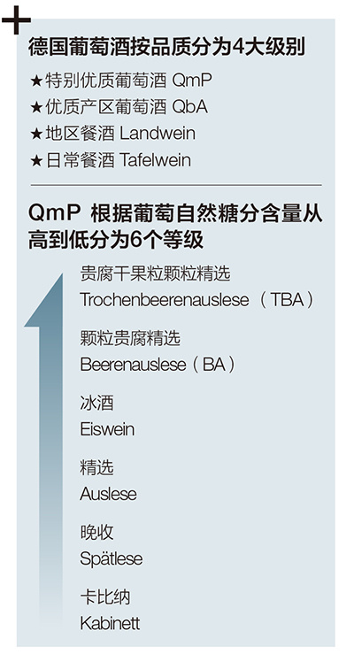 德国属于凉爽的大陆性气候,北部一些地区的气候条件已经接近葡萄可以