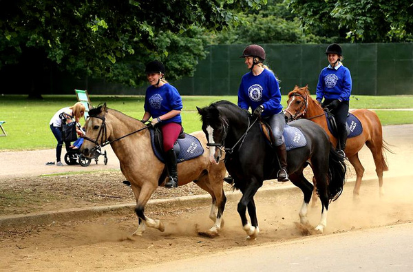英国海德公园骑马图片图片