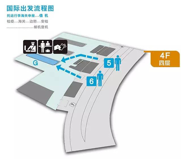 郑州机场内部示意图图片