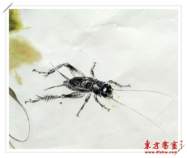 刘和平国画蟋蟀作品欣赏