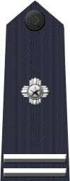 二级警司警衔标志缀钉二枚四角星花,三级警司警衔标志缀钉一枚四角星
