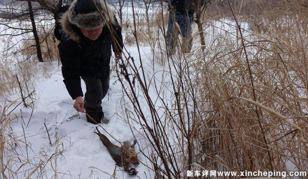 林场的资深安全员讲冰雪经的,包括如何在冰天雪地深山老林脱困生存