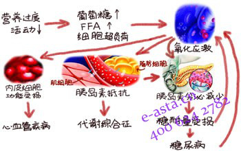 抗氧化治療才是糖尿病併發症的對因治療