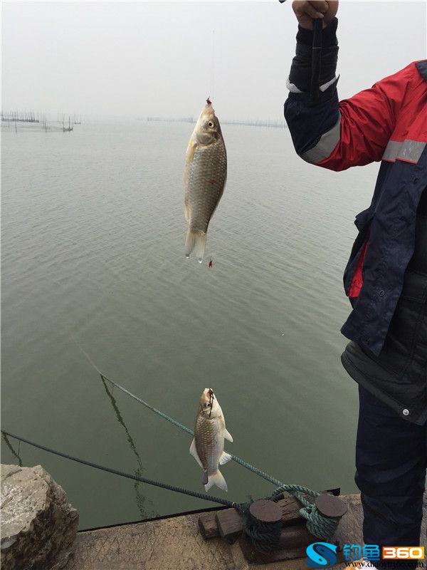 冬季釣魚首選筏竿