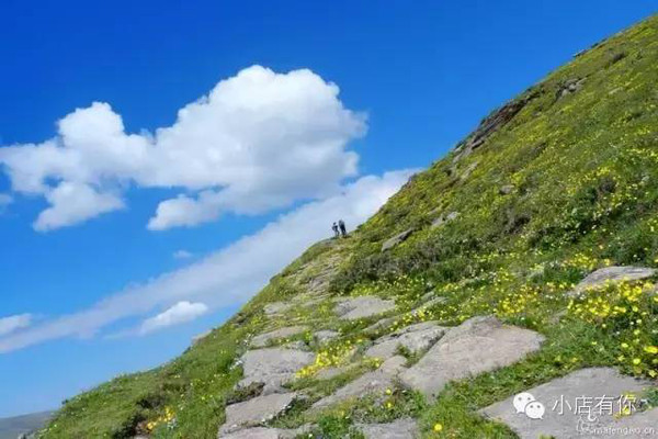 沿着石太二线一路向东每个收费口都有n个景点