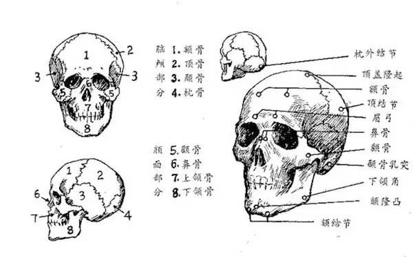 寻龙诀的晓庆阿姨你的手术谁做的