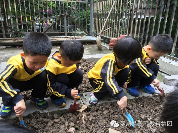 艾瑞克幼兒園種植活動