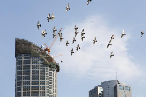 Խ5·ݷֹ󣬰ٳסլѾ˸³ֻǡ  