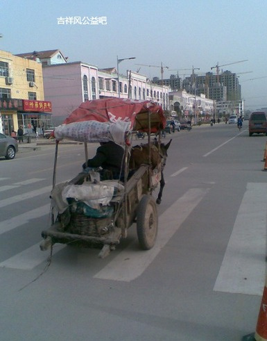 泰安宁阳:乡村旧物毛驴车