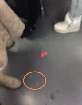 图说:视频显示地上有疑似“骨头和残渣” 视频截图