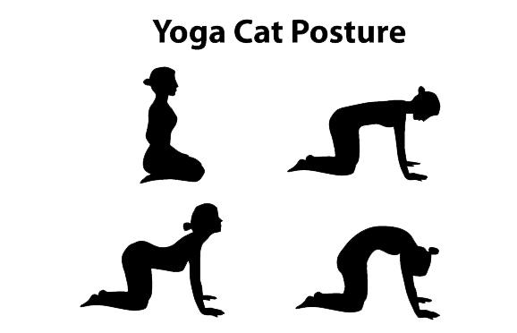 瑜伽大猫伸展式讲解图片