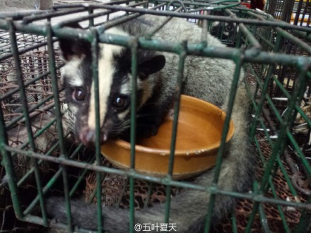 网友举报农贸市场兜售野生动物引国家林业局关注,嫌犯被查获