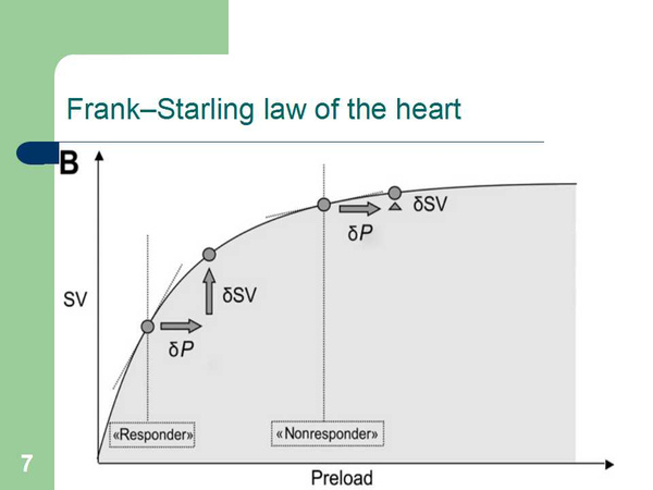 frank-starling曲线图片