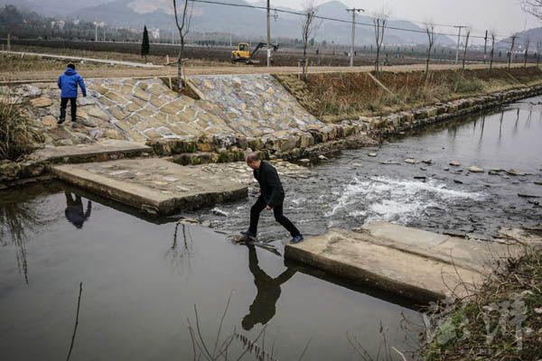 12月21日,叶照辉和同事去农田考察项目,跨过一条小溪。