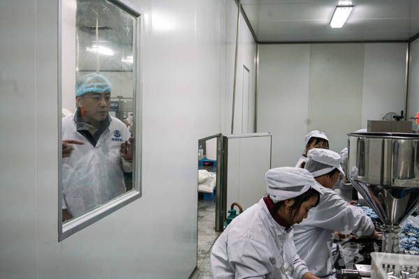 叶照辉在生产车间学习生产加工的流程。