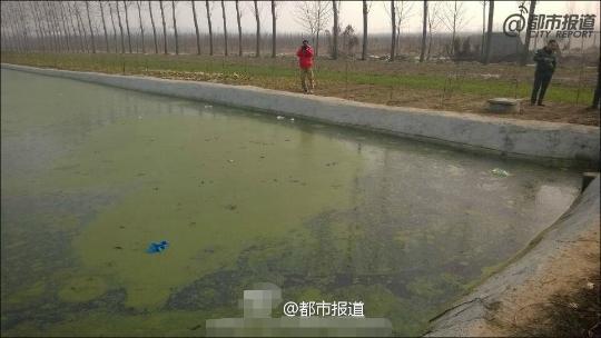 两名幼童村中玩耍跌入排污池 双双溺亡(图)