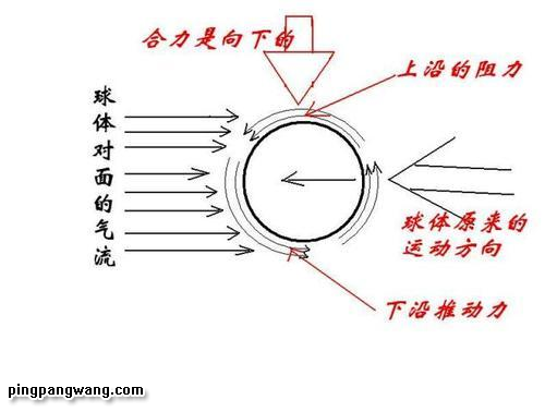 瞎折腾也有大成果3——弧圈球发展历程