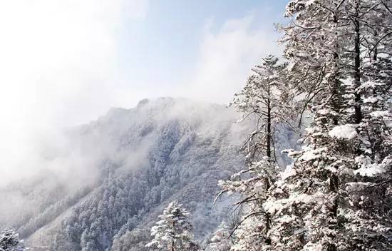 四川的景点排名