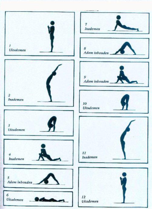 拜日式瑜伽动作图解-第2张图片-678体育知识