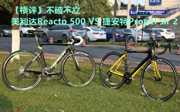 不破不立美利達reacto500vs捷安特propelslr2