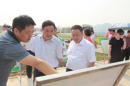 大冶市茗山鄉檢查低丘崗地改造項目 圖為:保安鎮10萬畝農田舊貌換新