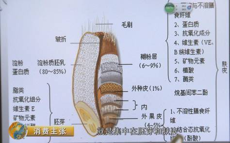 面粉越白越好选面粉有诀窍转给咱爸妈