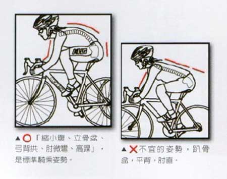 正确骑动感单车的姿势图片