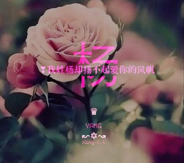 物是人非 句子_八句短语，物是人非