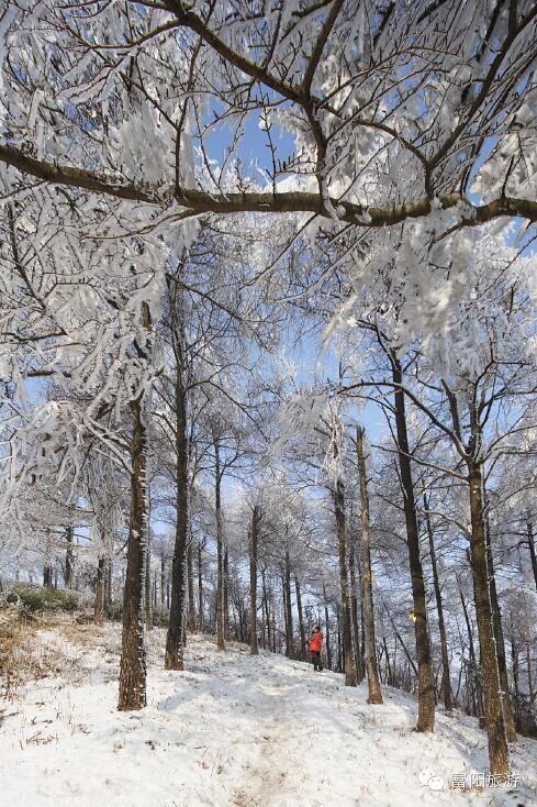 富阳龙门山雪景图片