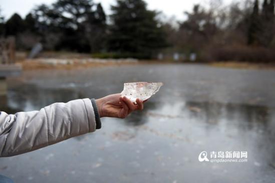 组图:青岛开启速冻模式 湖面全结冰厚达五厘米青岛新闻网1月21日讯
