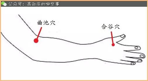 高血壓按摩療法的原理及手法