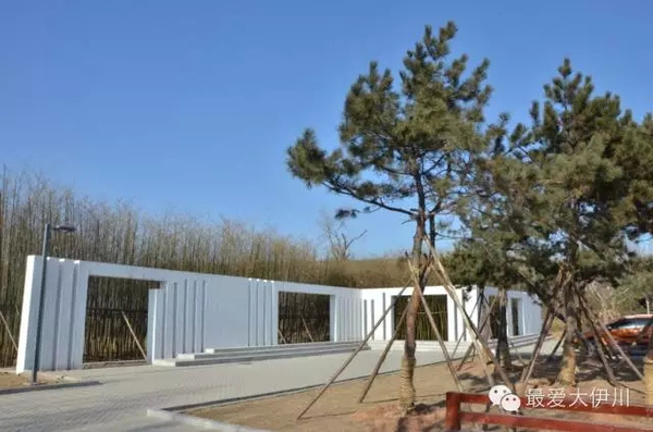 伊川西山植物园竟然这么美