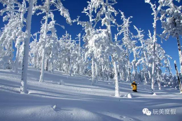 雪的王国——大兴安岭