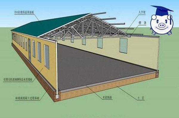 豬倌巴巴丨建造豬舍的十大忌諱!