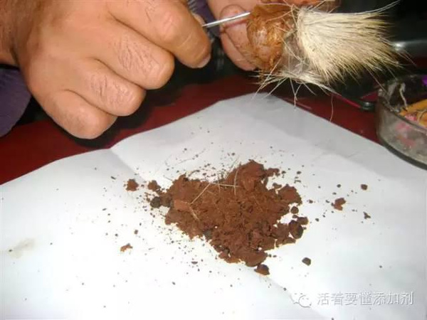 麝香保心丸里用的是什么麝香