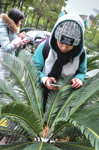 来自广东茂名的大学生李明霞第一次看到下雪。新华社发