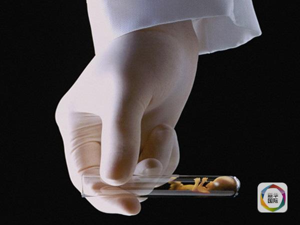 йȫڽԪʽʵʩһеķ򸾳ԭ򲻴ҪһЩҪĸȴٻѵ⣬ǲй˽ĿͶ̩ġԹӤ