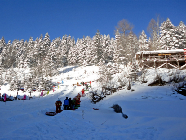 亞布力好漢嶺滑雪場一日遊,品嚐東北特色菜