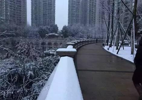 白雪紛飛的昨天,各種重慶雪景刷爆了cq君的朋友圈,什麼寒冬低溫都無法