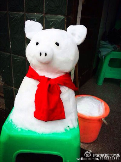 猪哥哥已为升温做好准备。