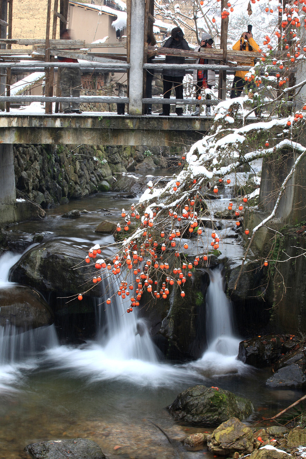 松阳四都雪景图片